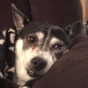 Meet your Posher, Samara